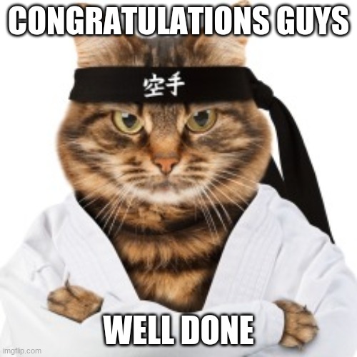 Karate cat | CONGRATULATIONS GUYS; WELL DONE | image tagged in karate cat | made w/ Imgflip meme maker