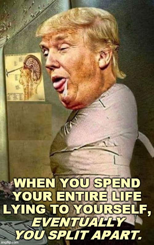 Lying to himself and lying to everybody else. | WHEN YOU SPEND YOUR ENTIRE LIFE LYING TO YOURSELF, EVENTUALLY YOU SPLIT APART. | image tagged in trump,tired,scared,loser | made w/ Imgflip meme maker