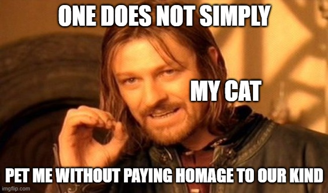 This is true, do not doubt this. | ONE DOES NOT SIMPLY; MY CAT; PET ME WITHOUT PAYING HOMAGE TO OUR KIND | image tagged in memes,one does not simply | made w/ Imgflip meme maker