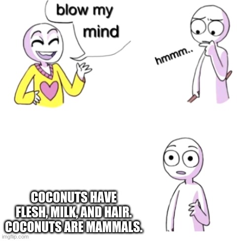 Stupid 100 |  COCONUTS HAVE FLESH, MILK, AND HAIR. COCONUTS ARE MAMMALS. | image tagged in blow my mind,bad meme,stupid,why did i make this,why did i even think of this,agh | made w/ Imgflip meme maker