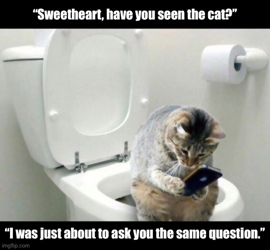 “I Think He’s in the Bathroom Playing Angry Birds...Again!” | “Sweetheart, have you seen the cat?”; “I was just about to ask you the same question.” | image tagged in funny memes,funny cat memes,funny cats,cats,funny | made w/ Imgflip meme maker