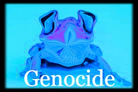 Genocide Frog Blank Meme Template