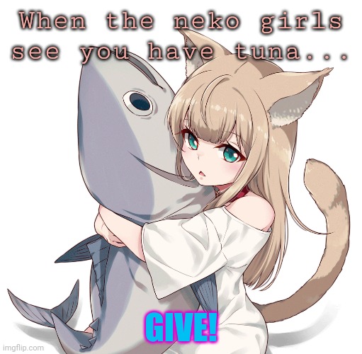 They need food! | When the neko girls see you have tuna... GIVE! | image tagged in neko,cat girls,cats,anime girl,tuna,food | made w/ Imgflip meme maker