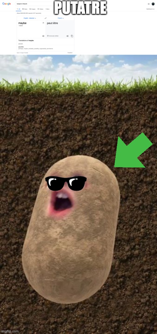 PUTATRE | image tagged in potato,upvotes,sunglasses,google search | made w/ Imgflip meme maker