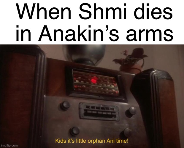 Orphan Anakin | When Shmi dies in Anakin’s arms | image tagged in blank white template,funny,memes,anakin,prequel memes | made w/ Imgflip meme maker