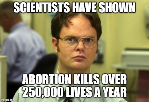 Dwight Schrute | SCIENTISTS HAVE SHOWN; ABORTION KILLS OVER 250,000 LIVES A YEAR | image tagged in memes,dwight schrute | made w/ Imgflip meme maker