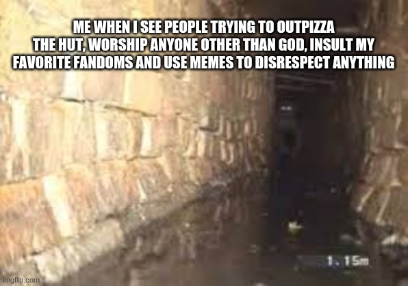 introvert emerging | ME WHEN I SEE PEOPLE TRYING TO OUTPIZZA THE HUT, WORSHIP ANYONE OTHER THAN GOD, INSULT MY FAVORITE FANDOMS AND USE MEMES TO DISRESPECT ANYTHING | image tagged in introvert emerging | made w/ Imgflip meme maker