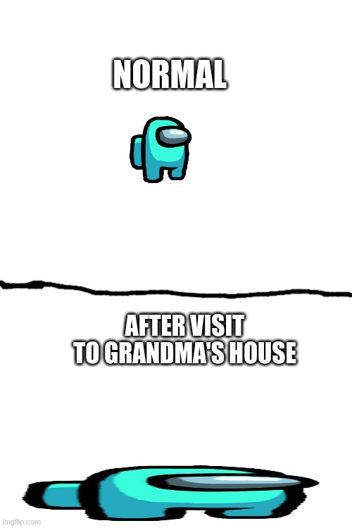 NORMAL; AFTER VISIT TO GRANDMA'S HOUSE | image tagged in blank white template | made w/ Imgflip meme maker