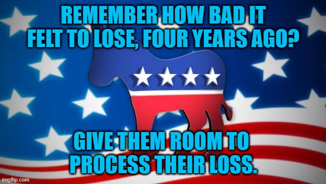 Prepare For A Positive Future. | REMEMBER HOW BAD IT FELT TO LOSE, FOUR YEARS AGO? GIVE THEM ROOM TO 
PROCESS THEIR LOSS. | image tagged in democrats | made w/ Imgflip meme maker