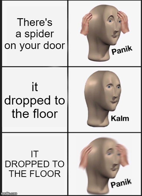 SPIDER | There's a spider on your door; it dropped to the floor; IT DROPPED TO THE FLOOR | image tagged in memes,panik kalm panik | made w/ Imgflip meme maker