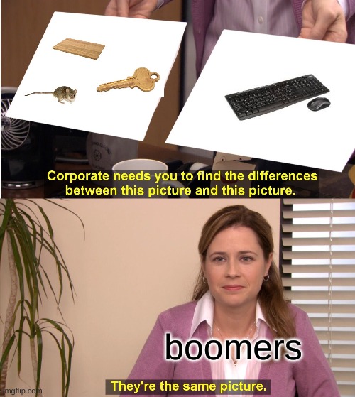 there the same thing | boomers | image tagged in memes,they're the same picture | made w/ Imgflip meme maker