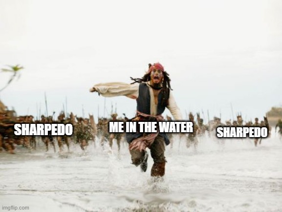 Jack Sparrow Being Chased | SHARPEDO; SHARPEDO; ME IN THE WATER | image tagged in memes,jack sparrow being chased | made w/ Imgflip meme maker