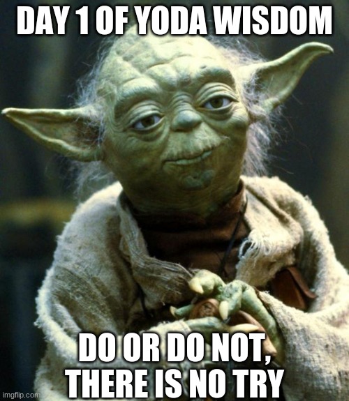 Star Wars Yoda | DAY 1 OF YODA WISDOM; DO OR DO NOT, THERE IS NO TRY | image tagged in memes,star wars yoda,yoda wisdom,funny,series | made w/ Imgflip meme maker