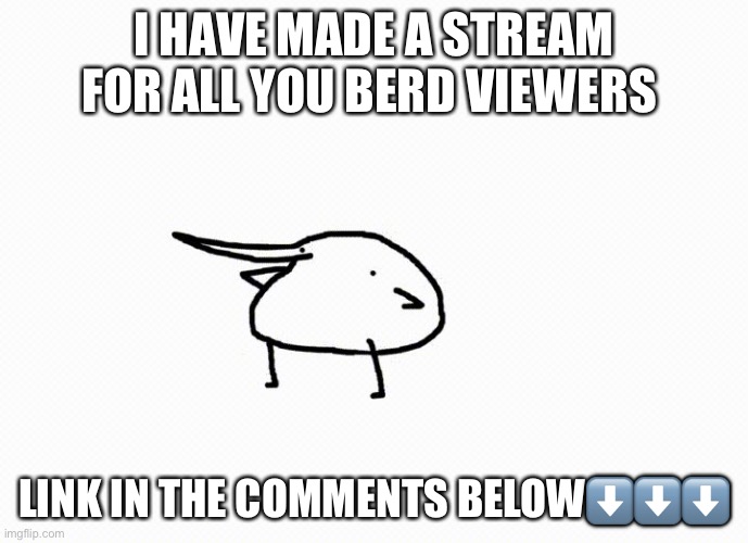 berdy dance | I HAVE MADE A STREAM FOR ALL YOU BERD VIEWERS; LINK IN THE COMMENTS BELOW⬇️⬇️⬇️ | image tagged in berdy dance | made w/ Imgflip meme maker