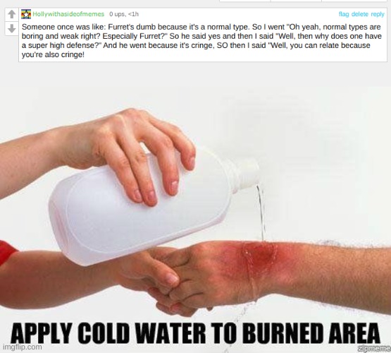 I think he got roasted | image tagged in apply cold water to burned area | made w/ Imgflip meme maker