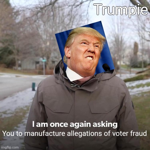 Bernie I Am Once Again Asking For Your Support | Trumpie; You to manufacture allegations of voter fraud | image tagged in memes,bernie i am once again asking for your support | made w/ Imgflip meme maker