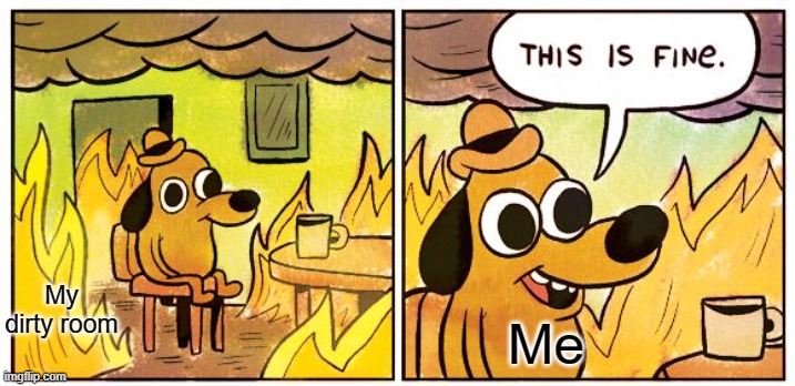 This Is Fine Meme | My dirty room; Me | image tagged in memes,this is fine | made w/ Imgflip meme maker