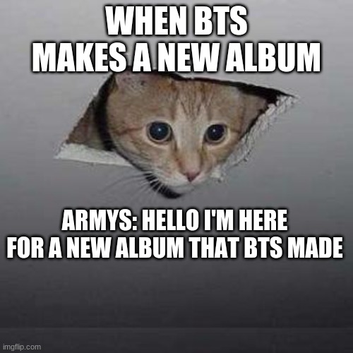 BTS Album | WHEN BTS MAKES A NEW ALBUM; ARMYS: HELLO I'M HERE FOR A NEW ALBUM THAT BTS MADE | image tagged in memes,ceiling cat | made w/ Imgflip meme maker