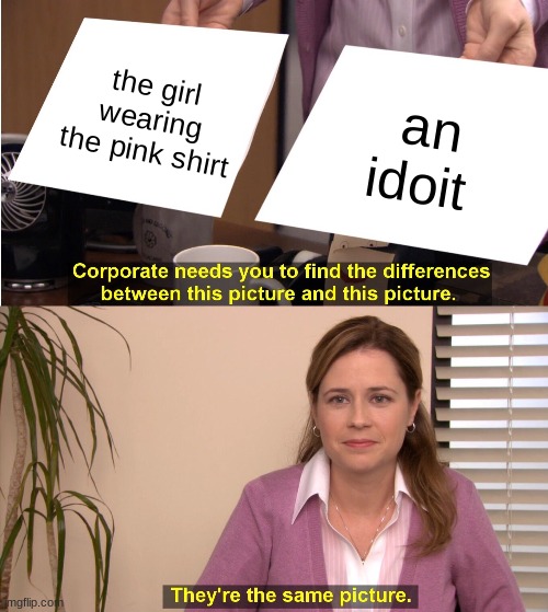 They're The Same Picture Meme | the girl wearing the pink shirt; an idoit | image tagged in memes,they're the same picture | made w/ Imgflip meme maker