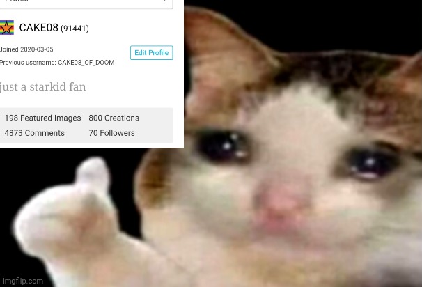 If you follow me. Don't unfollow. This meme was a joke. | image tagged in sad cat thumbs up | made w/ Imgflip meme maker