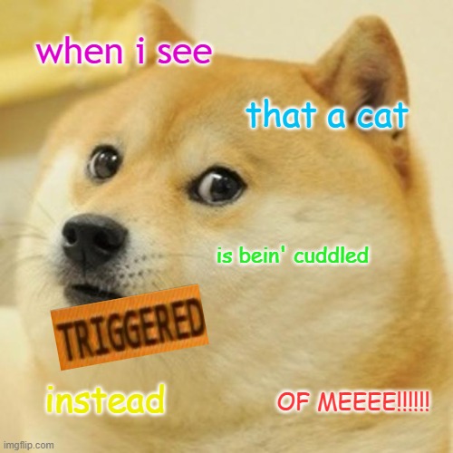 Doge | when i see; that a cat; is bein' cuddled; instead; OF MEEEE!!!!!! | image tagged in memes,doge | made w/ Imgflip meme maker