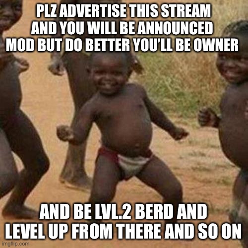 Plz do | PLZ ADVERTISE THIS STREAM AND YOU WILL BE ANNOUNCED  MOD BUT DO BETTER YOU’LL BE OWNER; AND BE LVL.2 BERD AND LEVEL UP FROM THERE AND SO ON | image tagged in memes,third world success kid | made w/ Imgflip meme maker