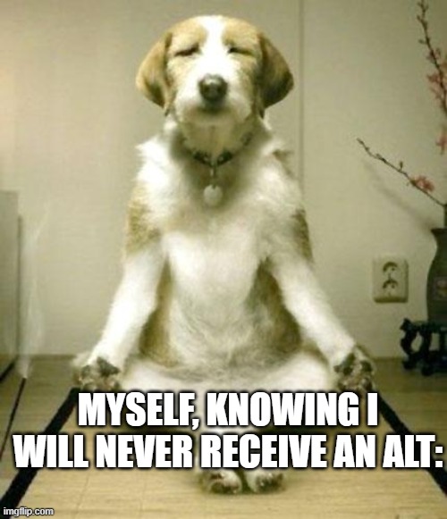 Inner Peace Dog | MYSELF, KNOWING I WILL NEVER RECEIVE AN ALT: | image tagged in inner peace dog | made w/ Imgflip meme maker