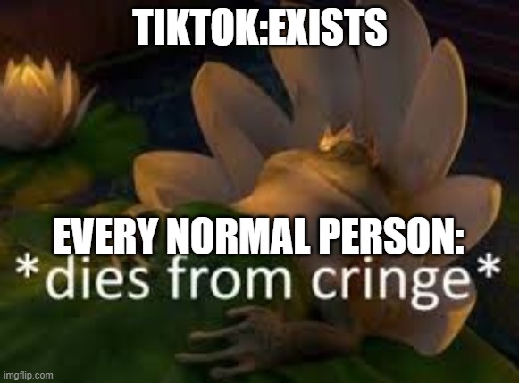 For real tho | TIKTOK:EXISTS; EVERY NORMAL PERSON: | image tagged in tiktok,cringe,everyone | made w/ Imgflip meme maker