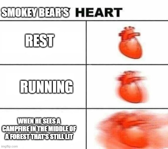 smokey panik mode | SMOKEY BEAR'S; REST; RUNNING; WHEN HE SEES A CAMPFIRE IN THE MIDDLE OF A FOREST THAT'S STILL LIT | image tagged in my heart blank | made w/ Imgflip meme maker