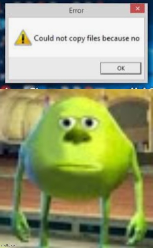 Could not copy files because no | image tagged in sully wazowski | made w/ Imgflip meme maker