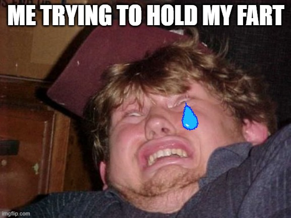 WTF Meme | ME TRYING TO HOLD MY FART | image tagged in memes,wtf | made w/ Imgflip meme maker