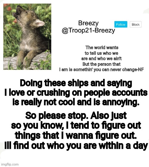 Please stop | Doing these ships and saying I love or crushing on people accounts is really not cool and is annoying. So please stop. Also just so you know, I tend to figure out things that I wanna figure out. Ill find out who you are within a day | image tagged in trooper21-breezy template | made w/ Imgflip meme maker