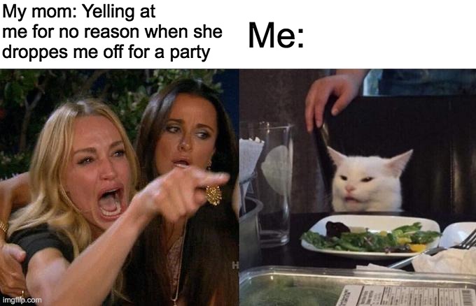 Getting Dropped off.. | My mom: Yelling at me for no reason when she droppes me off for a party; Me: | image tagged in memes,woman yelling at cat | made w/ Imgflip meme maker
