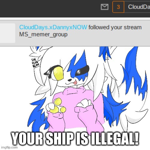 HES 18- | YOUR SHIP IS ILLEGAL! | made w/ Imgflip meme maker