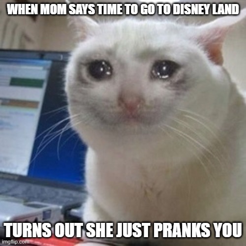 enjoy | WHEN MOM SAYS TIME TO GO TO DISNEY LAND; TURNS OUT SHE JUST PRANKS YOU | image tagged in crying cat | made w/ Imgflip meme maker