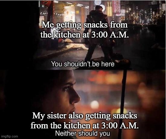 You shouldn't be here, Neither should you | Me getting snacks from the kitchen at 3:00 A.M. My sister also getting snacks from the kitchen at 3:00 A.M. | image tagged in you shouldn't be here neither should you | made w/ Imgflip meme maker