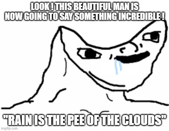 an example of charisma | LOOK ! THIS BEAUTIFUL MAN IS NOW GOING TO SAY SOMETHING INCREDIBLE ! "RAIN IS THE PEE OF THE CLOUDS" | image tagged in derp face | made w/ Imgflip meme maker