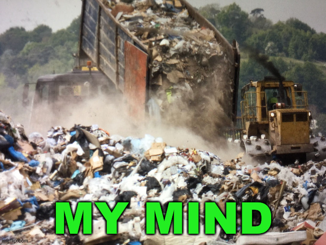 Garbage dump | MY MIND | image tagged in garbage dump | made w/ Imgflip meme maker