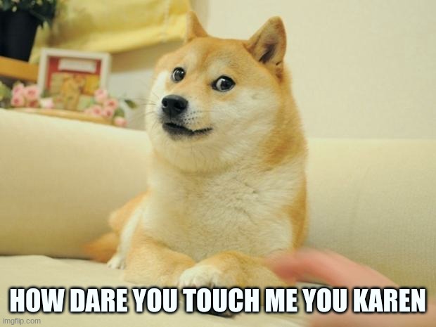 ..... | HOW DARE YOU TOUCH ME YOU KAREN | image tagged in memes,doge 2 | made w/ Imgflip meme maker