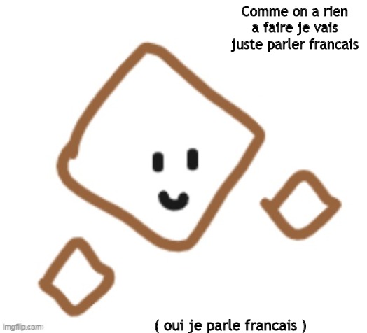 For the peoples wondering, yes im french. | Comme on a rien a faire je vais juste parler francais; ( oui je parle francais ) | image tagged in what the f k is wrong with me | made w/ Imgflip meme maker