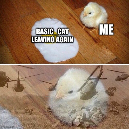 Chick having flashbacks | ME; BASIC_CAT LEAVING AGAIN | image tagged in chick having flashbacks | made w/ Imgflip meme maker