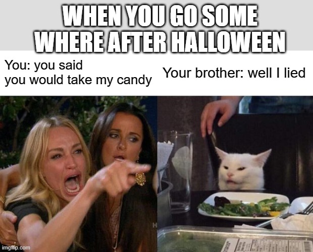 Woman Yelling At Cat | WHEN YOU GO SOME WHERE AFTER HALLOWEEN; You: you said you would take my candy; Your brother: well I lied | image tagged in memes,woman yelling at cat | made w/ Imgflip meme maker