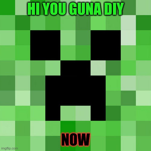 Scumbag Minecraft | HI YOU GUNA DIY; NOW | image tagged in memes,scumbag minecraft | made w/ Imgflip meme maker