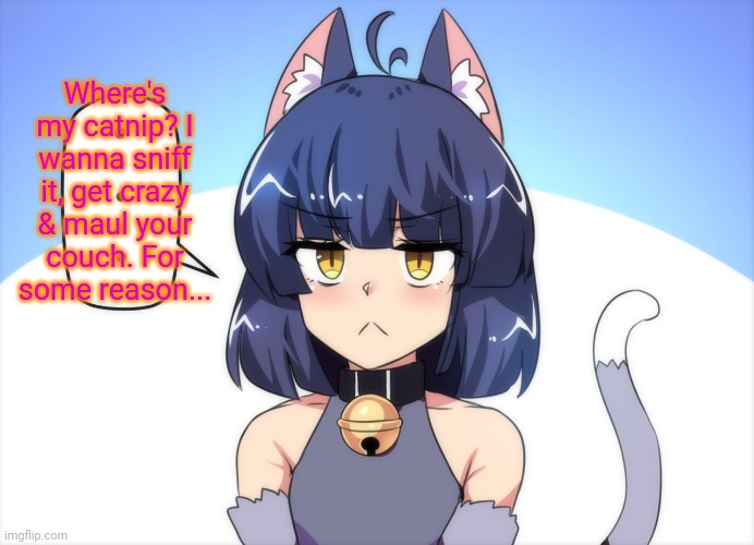 Anime memes the cat girl that you get