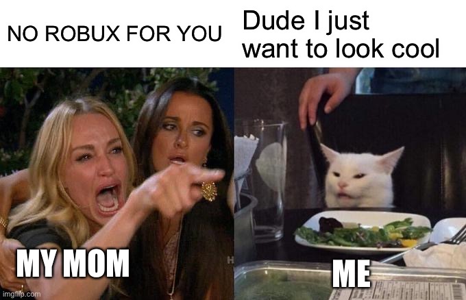 Me never get bobux :( | NO ROBUX FOR YOU; Dude I just want to look cool; MY MOM; ME | image tagged in memes,woman yelling at cat | made w/ Imgflip meme maker