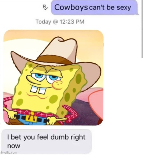 While peoples post memes about the bots i post memes about cowboy spongebob | made w/ Imgflip meme maker