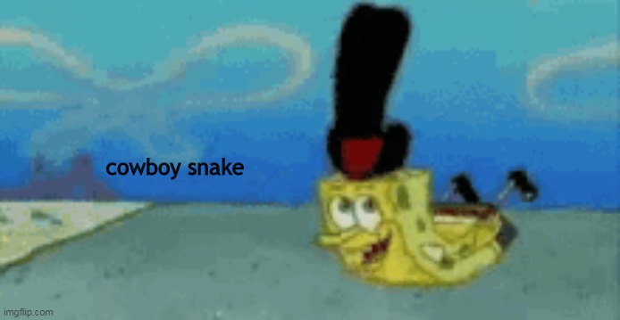 cowboy snake | made w/ Imgflip meme maker