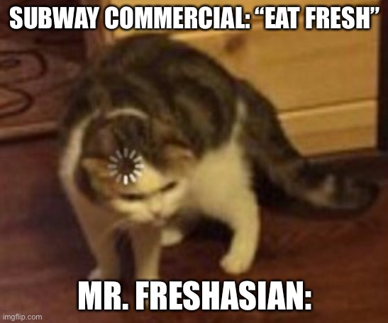 Lol moment | SUBWAY COMMERCIAL: “EAT FRESH”; MR. FRESHASIAN: | image tagged in loading cat | made w/ Imgflip meme maker