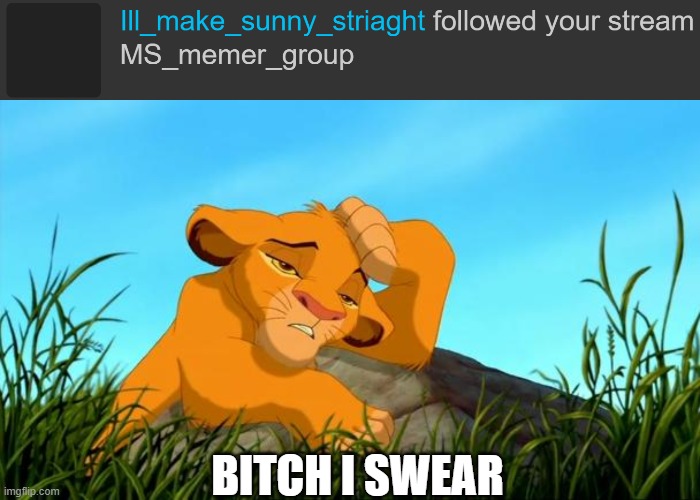BITCH I SWEAR | image tagged in die please | made w/ Imgflip meme maker