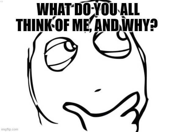 Question Rage Face | WHAT DO YOU ALL THINK OF ME, AND WHY? | image tagged in memes,question rage face | made w/ Imgflip meme maker
